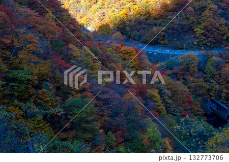 遠野市仙人峠の紅葉 132773706