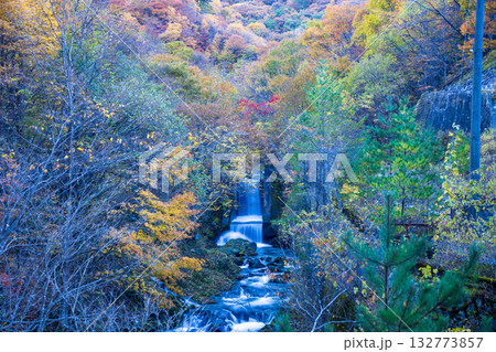 遠野市仙人峠の紅葉 遠野市仙人峠の紅葉 132773857