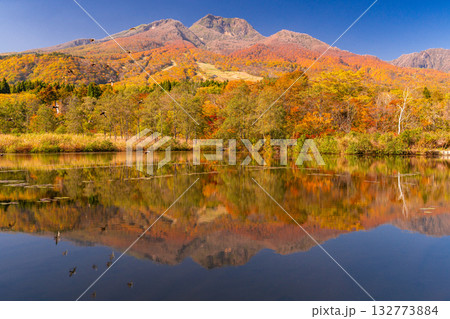 《新潟県》いもり池・紅葉最盛期の妙高高原 132773884
