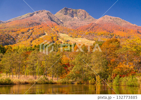 《新潟県》いもり池・紅葉最盛期の妙高高原 132773885