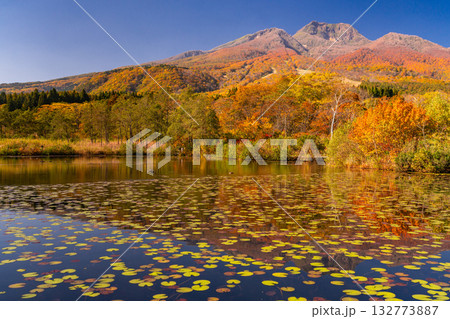 《新潟県》いもり池・紅葉最盛期の妙高高原 132773887