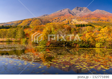 《新潟県》いもり池・紅葉最盛期の妙高高原 132773890
