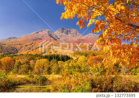《新潟県》いもり池・紅葉最盛期の妙高高原 132773895