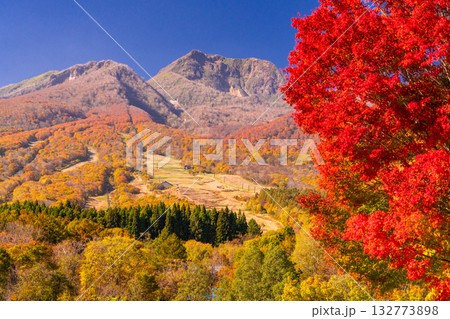 《新潟県》いもり池・紅葉最盛期の妙高高原 132773898