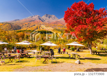 《新潟県》いもり池・紅葉最盛期の妙高高原 132773900