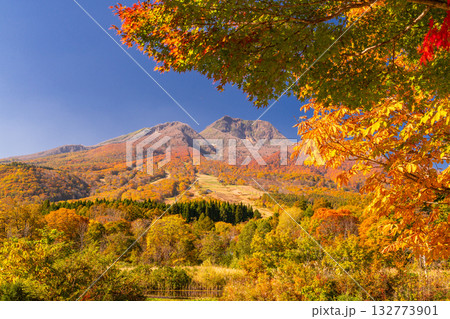《新潟県》いもり池・紅葉最盛期の妙高高原 132773901