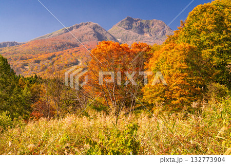 《新潟県》いもり池・紅葉最盛期の妙高高原 132773904