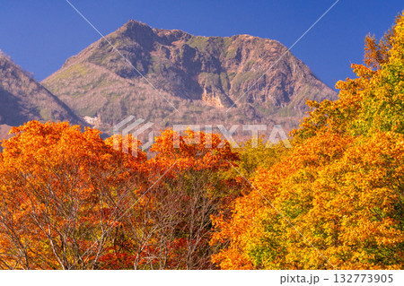 《新潟県》いもり池・紅葉最盛期の妙高高原 132773905