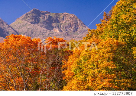 《新潟県》いもり池・紅葉最盛期の妙高高原 132773907