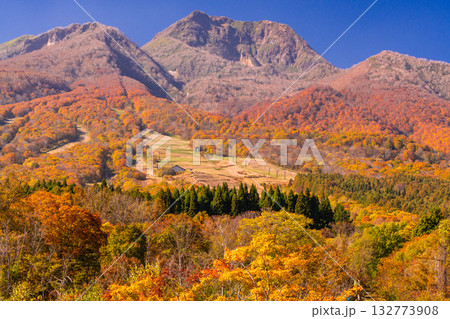 《新潟県》いもり池・紅葉最盛期の妙高高原 《新潟県》いもり池・紅葉最盛期の妙高高原 132773908
