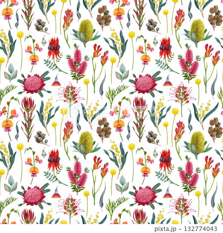 Australia native flowers seamless pattern on white background. Hand drawn realistic watercolor Australian flora elements. Waratah, golden wattle, grevillea, banksia, gum tree leaves seamless pattern 132774043