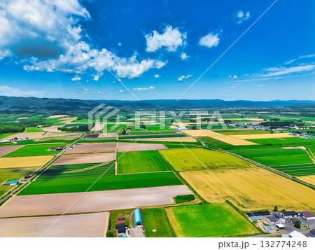 北の大地 北の大地 132774248