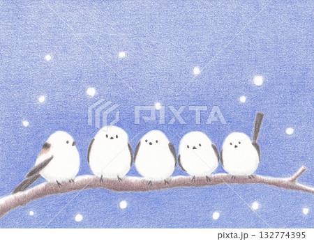 枝の上で相談してるシマエナガ 枝の上で相談してるシマエナガ 132774395