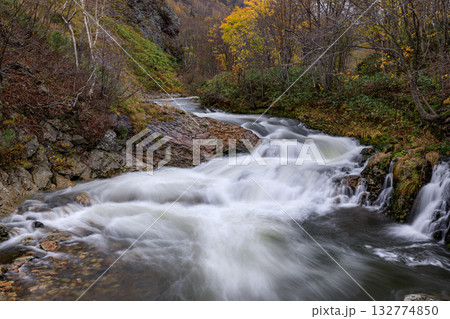 北海道赤井川村、晩秋のライオンの滝【10月】 132774850