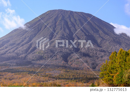 北海道倶知安町、秋空にそびえる羊蹄山【10月】 北海道倶知安町、秋空にそびえる羊蹄山【10月】 132775013