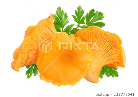 Chanterelle mushroom isolated on a white background Chanterelle mushroom isolated on a white background 132775041
