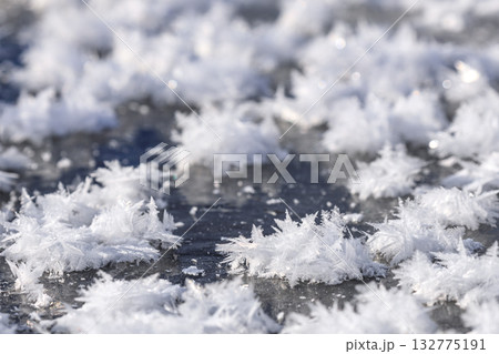 北海道むかわ町、鵡川に現れたフロストフラワー【12月】 132775191