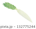 葉のついた大根のイラスト 132775244
