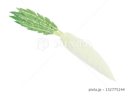 葉のついた大根のイラスト 132775244