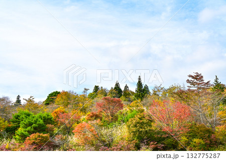 茶臼山高原(愛知県)の秋景色 茶臼山高原(愛知県)の秋景色 132775287