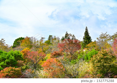 茶臼山高原(愛知県)の秋景色 茶臼山高原(愛知県)の秋景色 132775288