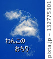 何かの形に見える雲 132775301