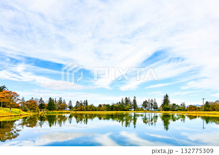 茶臼山高原(愛知県/長野県)の秋景色 茶臼山高原(愛知県/長野県)の秋景色 132775309