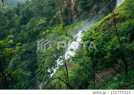 A beautiful waterfall cascades down from a rocky cliff amidst lush greenery and mist at the base of the waterfall. 132775315