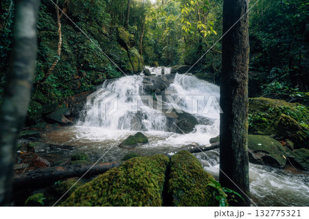 Waterfall in the rainforest along mossy rocks amidst the lush green trees of the forest. 132775321