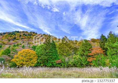 茶臼山高原(愛知県)の秋景色 茶臼山高原(愛知県)の秋景色 132775337