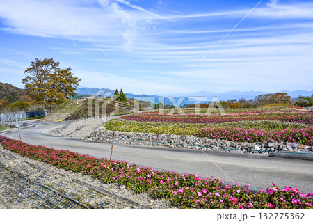 茶臼山高原(愛知県)観光リフトからの景色 茶臼山高原(愛知県)観光リフトからの景色 132775362