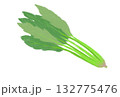 シンプルなほうれん草のイラスト 132775476