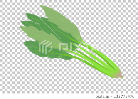 シンプルなほうれん草のイラスト 132775476