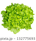Fresh Organic Red and Green Mixed Salad Greens. 132775693