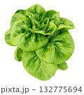 Fresh Organic Red and Green Mixed Salad Greens. 132775694