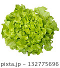 Fresh Organic Red and Green Mixed Salad Greens. 132775696