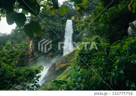 A beautiful waterfall cascades down from a rocky cliff amidst lush greenery and mist at the base of the waterfall. 132775758