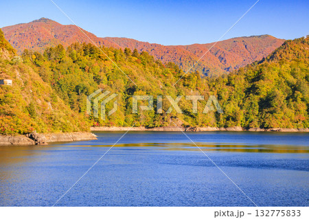 奥只見湖 秋の紅葉見頃 奥只見湖 秋の紅葉見頃 132775833