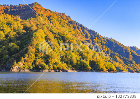 奥只見湖 秋の紅葉見頃 奥只見湖 秋の紅葉見頃 132775839