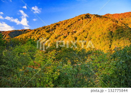 奥只見湖　　秋の紅葉見頃 132775844