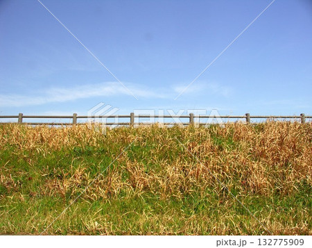 早春の放水路土手の若草と青空 132775909