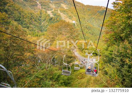 湯沢高原　パノラマパーク　アルプの里 132775910