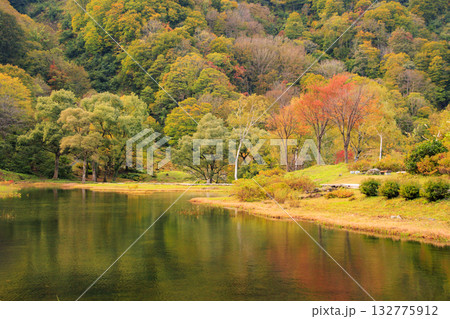 湯沢高原　パノラマパーク　アルプの里 132775912