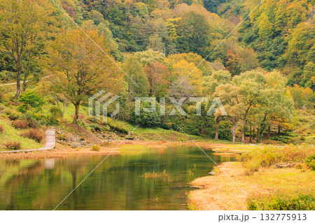 湯沢高原　パノラマパーク　アルプの里 132775913