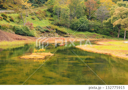 湯沢高原　パノラマパーク　アルプの里 132775915
