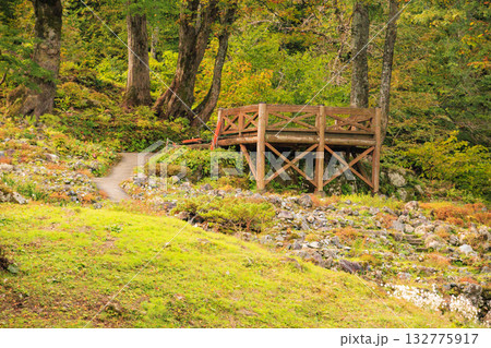 湯沢高原 パノラマパーク アルプの里 湯沢高原 パノラマパーク アルプの里 132775917