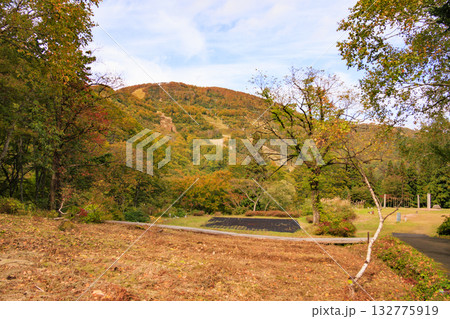 湯沢高原　パノラマパーク　アルプの里 132775919
