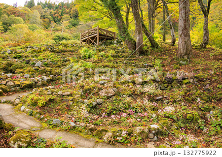 湯沢高原　パノラマパーク　アルプの里 132775922