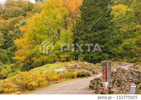 湯沢高原　パノラマパーク　アルプの里 132775925