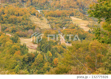 湯沢高原　パノラマパーク　アルプの里 132775926